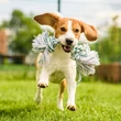 JOINTflex puppy ízületvédő 30db
